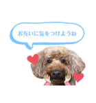 ボクのかぞくたち（個別スタンプ：3）