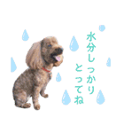 ボクのかぞくたち（個別スタンプ：6）