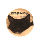mikotoだよ（個別スタンプ：5）
