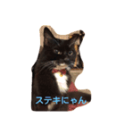 mikotoだよ（個別スタンプ：6）
