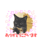mikotoだよ（個別スタンプ：8）