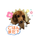 ラムです①（個別スタンプ：5）