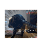 じじ日和（個別スタンプ：1）