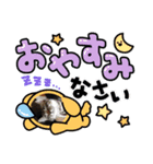 じじ日和（個別スタンプ：2）