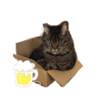 じじ日和（個別スタンプ：10）