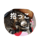 じじ日和（個別スタンプ：14）