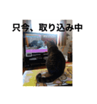 じじ日和（個別スタンプ：15）