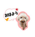 ぼくはマルくん（個別スタンプ：2）