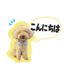ぼくはマルくん（個別スタンプ：3）