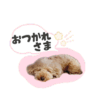 ぼくはマルくん（個別スタンプ：5）