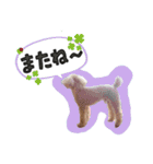 ぼくはマルくん（個別スタンプ：6）