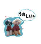 ぼくはマルくん（個別スタンプ：8）