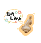 ぼくはマルくん（個別スタンプ：9）