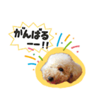 ぼくはマルくん（個別スタンプ：11）
