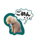 ぼくはマルくん（個別スタンプ：12）