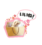 ぼくはマルくん（個別スタンプ：16）