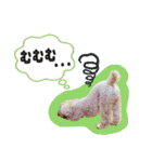 ぼくはマルくん（個別スタンプ：17）