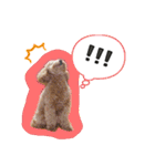 ぼくはマルくん（個別スタンプ：18）