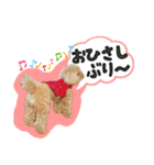 ぼくはマルくん（個別スタンプ：20）