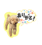 ぼくはマルくん（個別スタンプ：21）