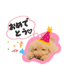 ぼくはマルくん（個別スタンプ：22）