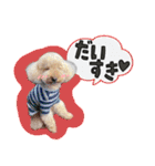 ぼくはマルくん（個別スタンプ：23）