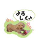 ぼくはマルくん（個別スタンプ：24）