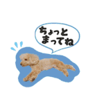 ぼくはマルくん（個別スタンプ：25）
