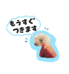 ぼくはマルくん（個別スタンプ：26）