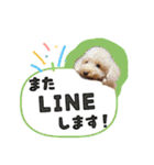 ぼくはマルくん（個別スタンプ：27）
