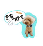 ぼくはマルくん（個別スタンプ：28）