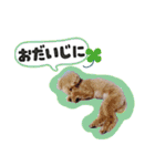 ぼくはマルくん（個別スタンプ：29）