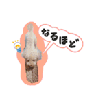 ぼくはマルくん（個別スタンプ：30）