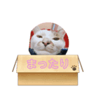 ウチのミーくん（個別スタンプ：4）