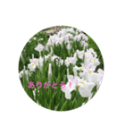kinko＿写真6（個別スタンプ：4）