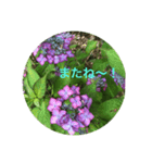 kinko＿写真6（個別スタンプ：8）