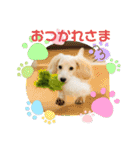 りむ①（個別スタンプ：1）