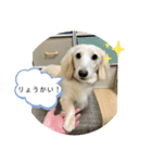 りむ①（個別スタンプ：4）