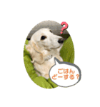 りむ①（個別スタンプ：8）