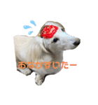 りむ①（個別スタンプ：9）