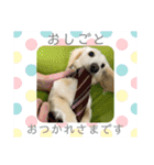 りむ①（個別スタンプ：13）