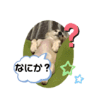 りむ①（個別スタンプ：19）
