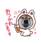 ガチャ子のWanWan シリーズ1（個別スタンプ：12）