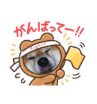 ガチャ子のWanWan シリーズ1（個別スタンプ：14）