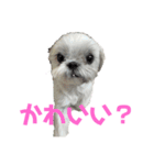 のんきな気持ち（個別スタンプ：3）