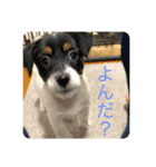 永井   るいです。2（個別スタンプ：1）