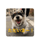 永井   るいです。2（個別スタンプ：3）