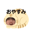 あんこりなこ（個別スタンプ：1）