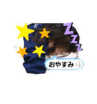 ケースワーカーはじめました。（個別スタンプ：6）