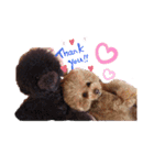 日常言葉♥わんこ組（個別スタンプ：2）